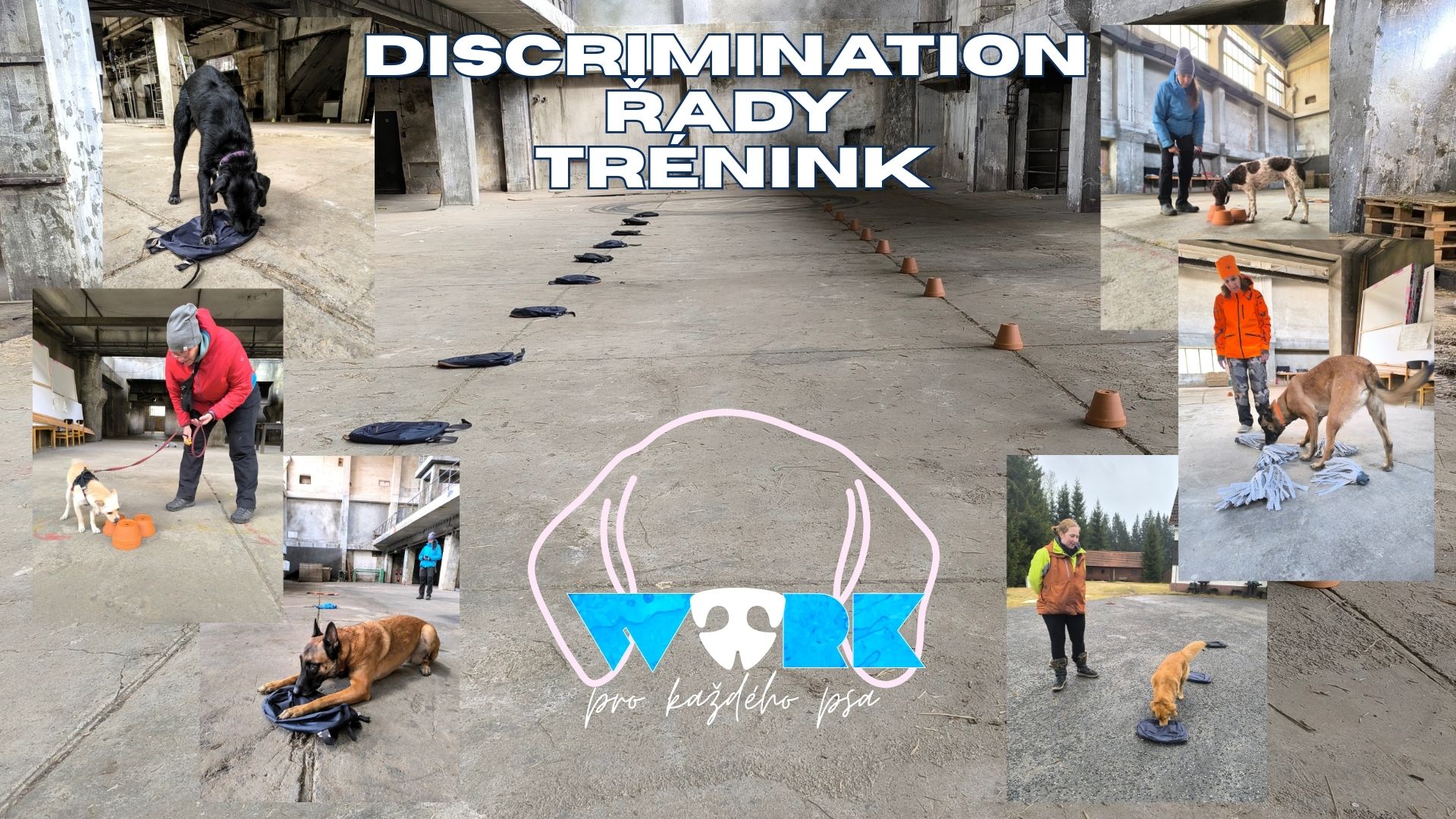 Nosework pro každého psa - Discrimination  RUCE (Otevřený trénink)