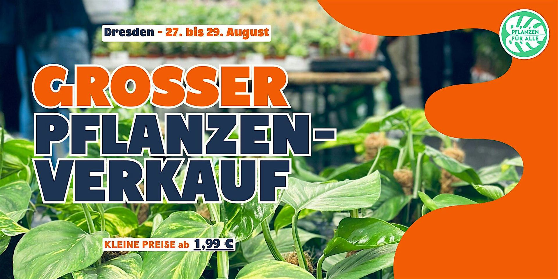Großer Pflanzenverkauf - Dresden