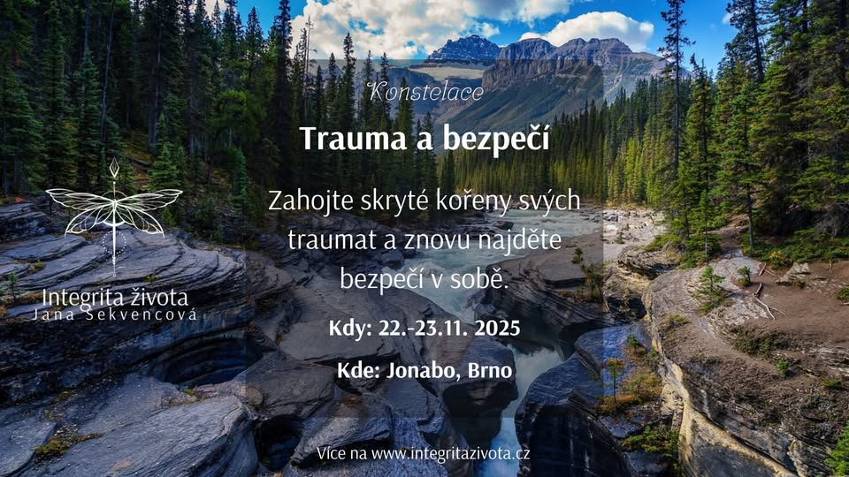 Konstelace - Trauma a bezpečí