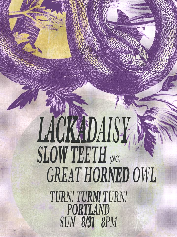 Lackadaisy/ Slow Teeth (NC) / Great Horned Owl