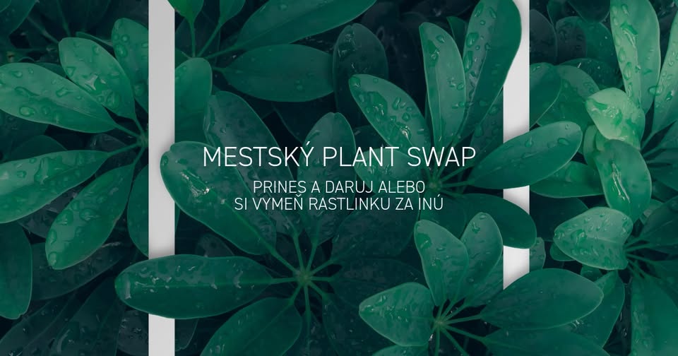 Mestský Plant Swap na pešej zóne v Martine
