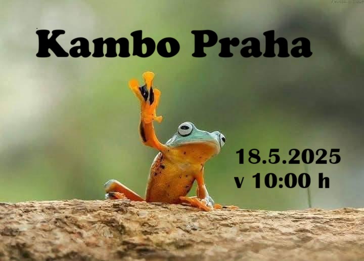 Kambo Praha 18.5.2025