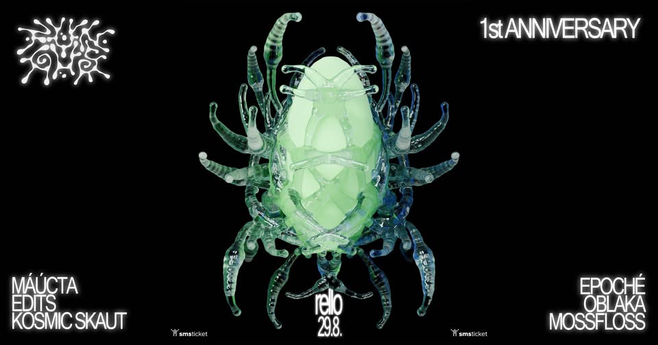 Fungus First Anniversary