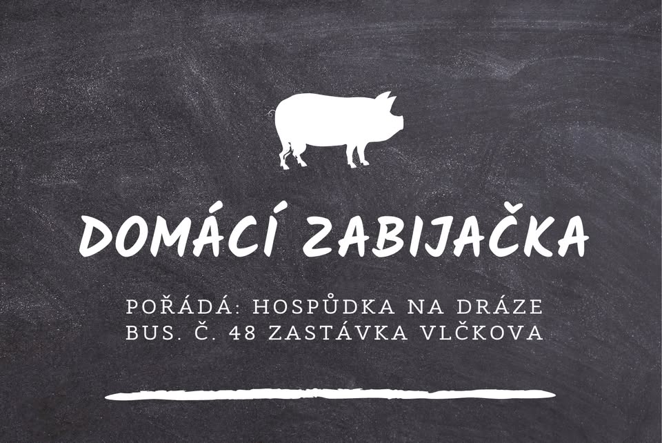 Domácí zabijačka