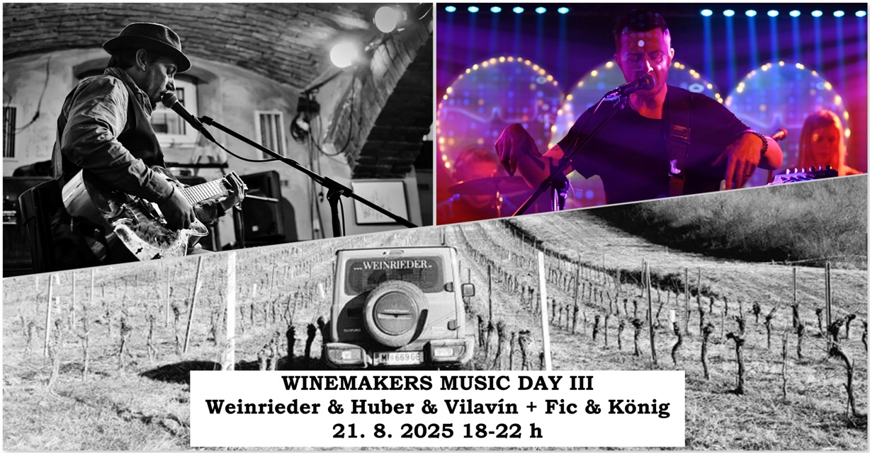 Weinrieder & Huber & Vilavin + Fic & König