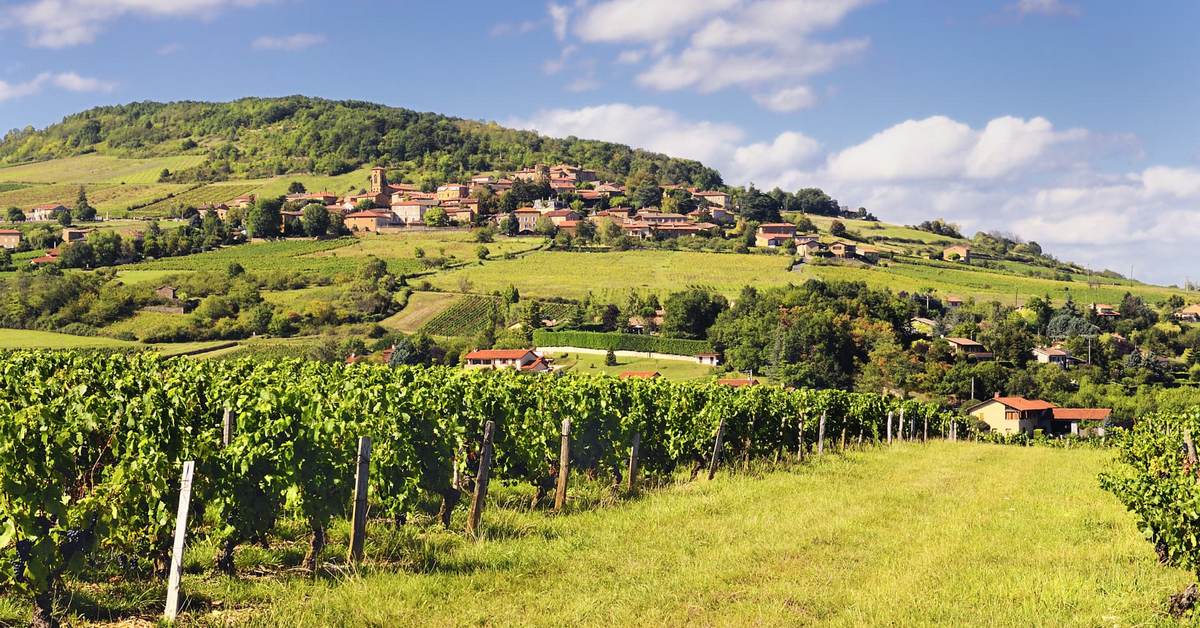 Degustácia vín Beaujolais