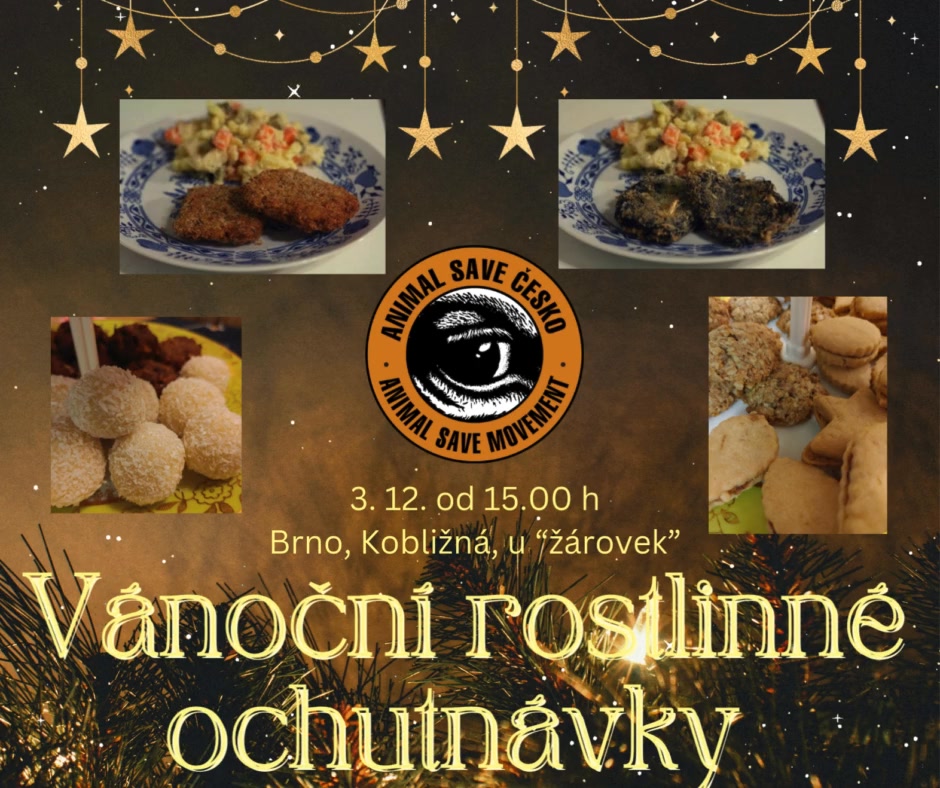 Vánoční rostlinné ochutnávky - Brno