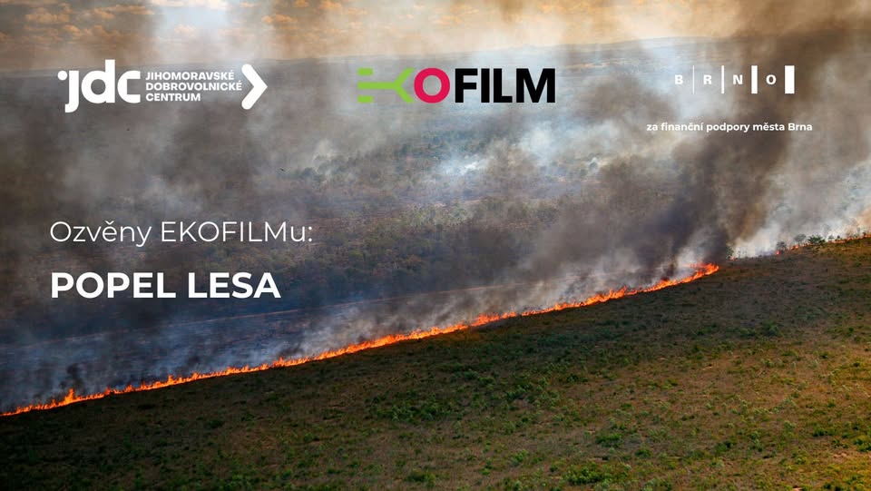 Ozvěny EKOFILMu: Popel lesa 🌳🔥