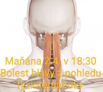 Bolest hlavy z pohledu fyzioterapeuta - přednáška a praktické techniky
