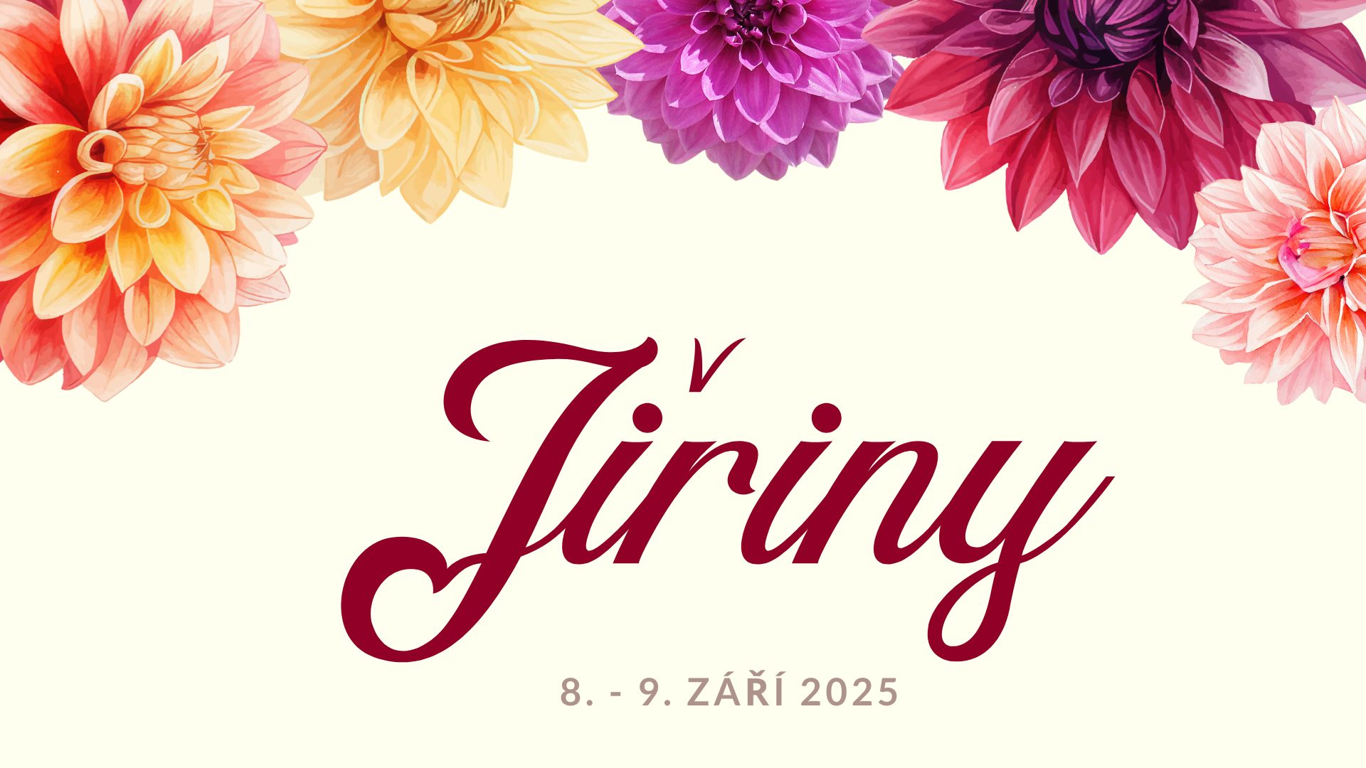 Jiřiny 2025