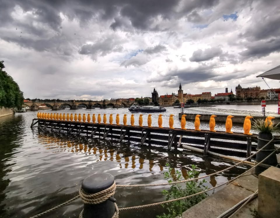 Ostrov Kampa – vycházka pro seniory
