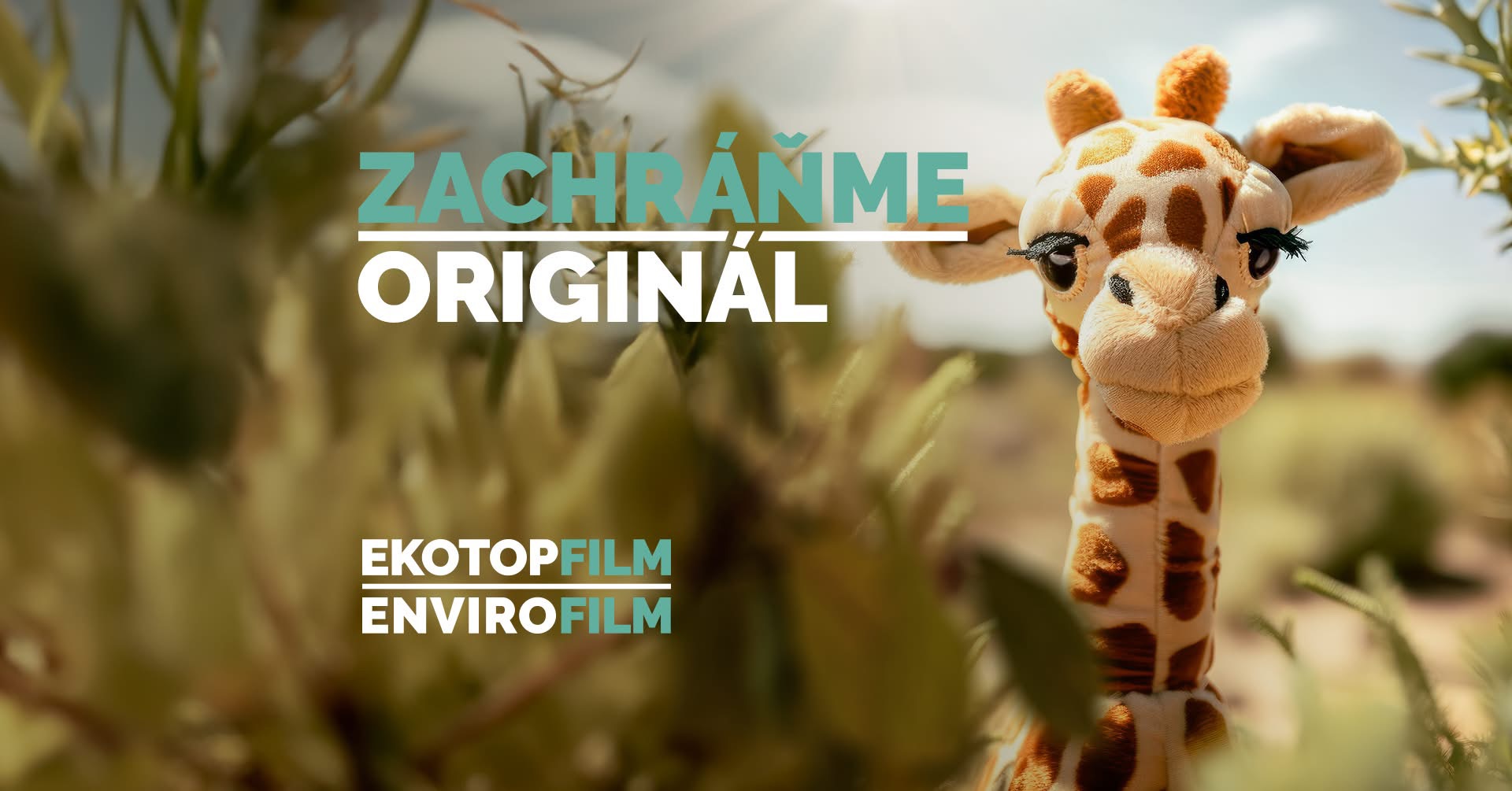 Bratislava Petržalka - Filmový festival Ekotopfilm