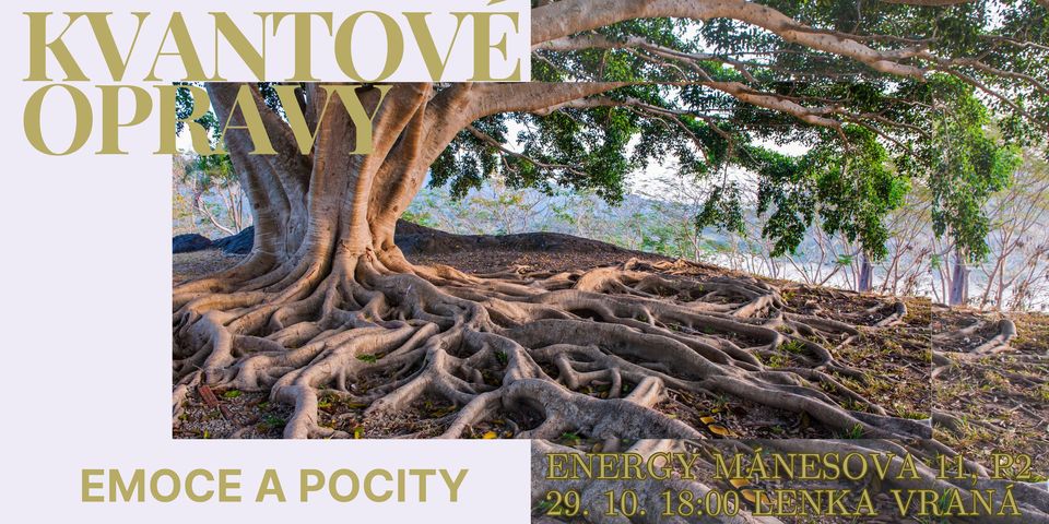 KVANTOVÉ OPRAVY - EMOCE A POCITY