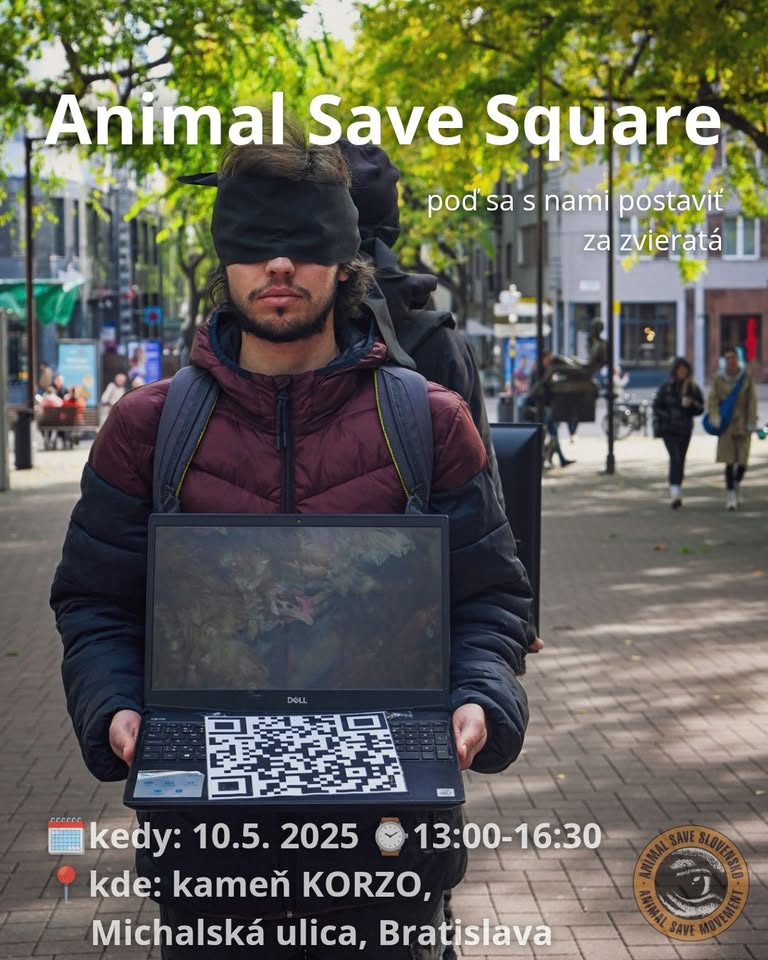 Animal Save Square