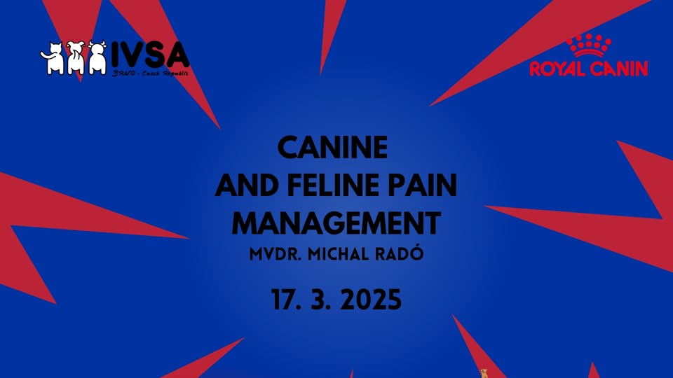 Seminar: Canine and feline pain management