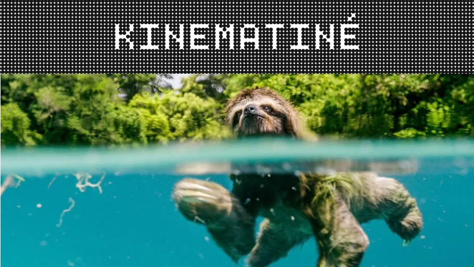KineMatiné ► Earth: den na zázračné planetě