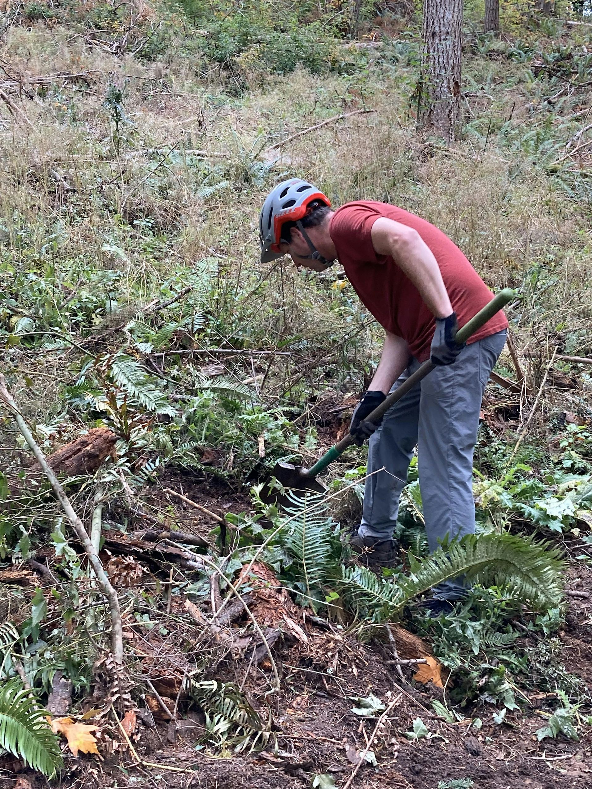 Stub Trail Restoration Day: 03/14
