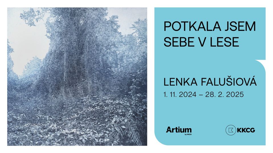 Lenka Falušiová | Potkala jsem sebe v lese