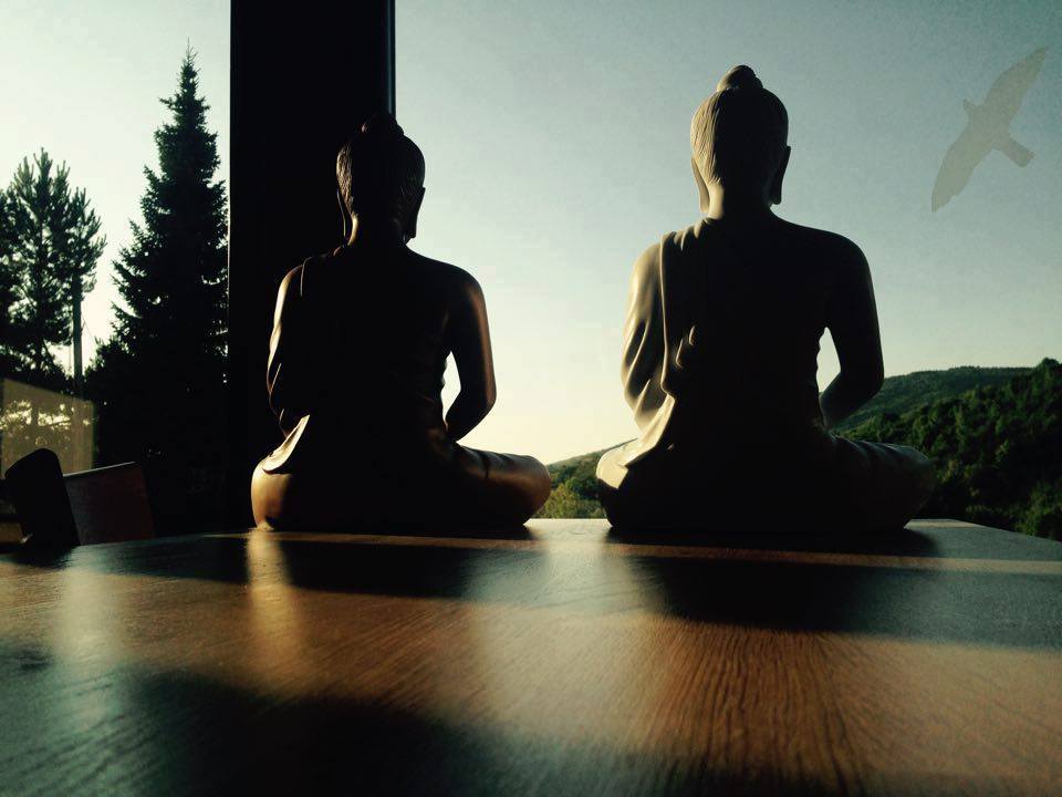 celodenná meditácia vipassana v lese pri jazere 1 alebo 2 dni