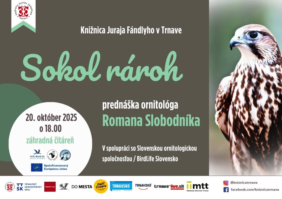 Sokol rároh