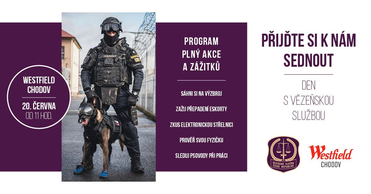 Den s vězeňskou službou