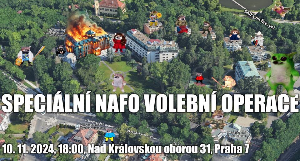 Speciální NAFO volební operace