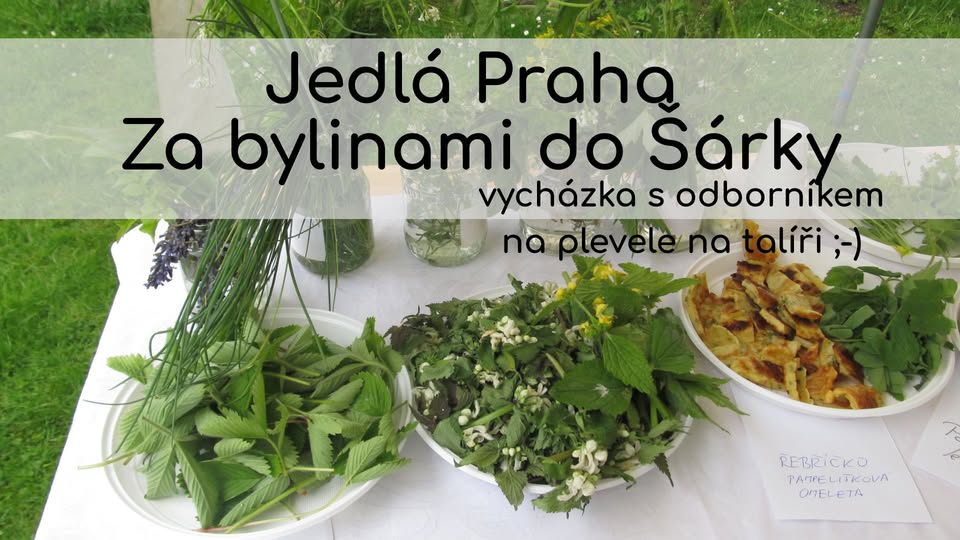 Jedlá Praha. Za bylinami do Šárky - vycházka s odborníkem na plevele na talíři