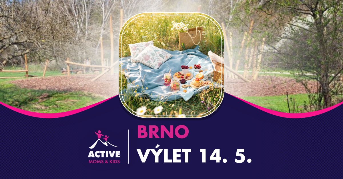 Brno - Společný piknik a pohodové dopoledne v parku 😉🧺🛝
