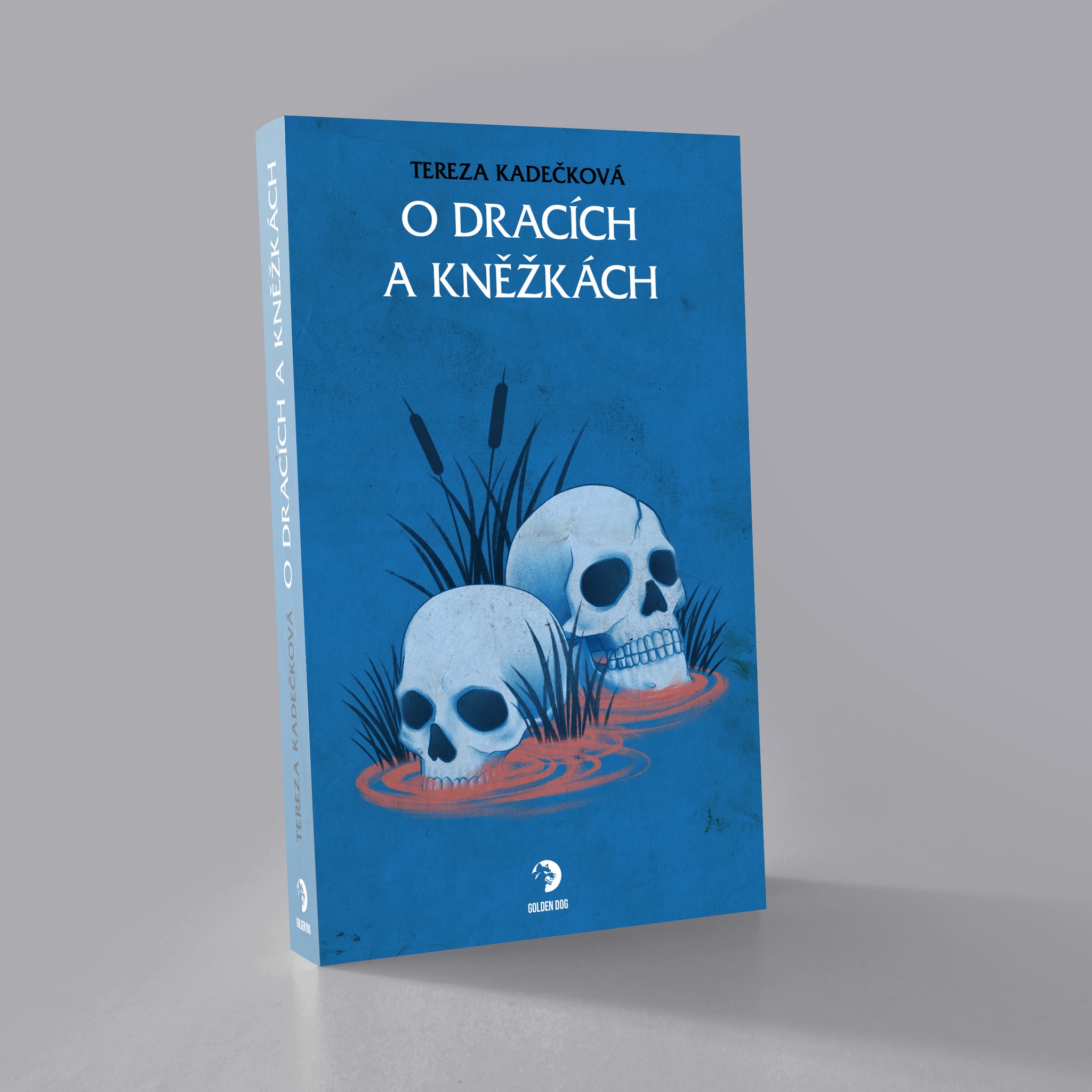 O dracích a jejich světě