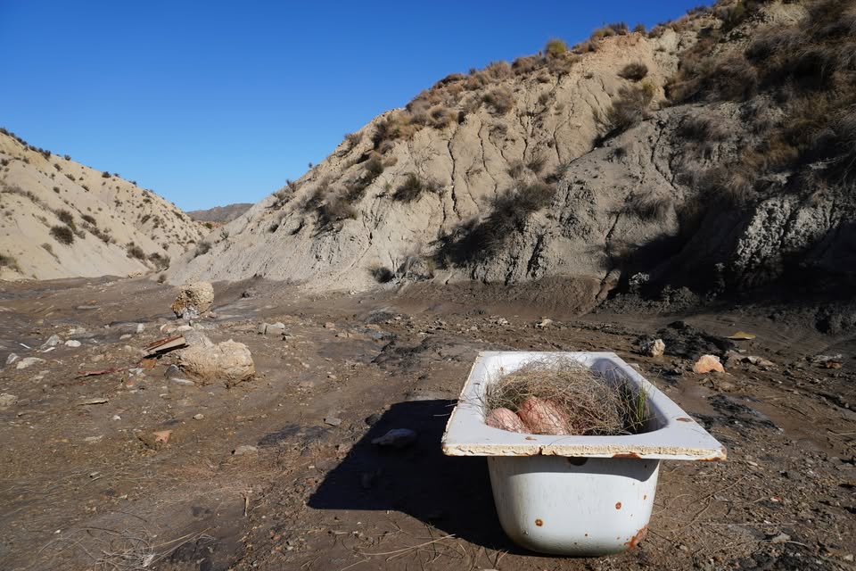 Patricia Woltmann - Precarious Terrains (screening & artist talk)
