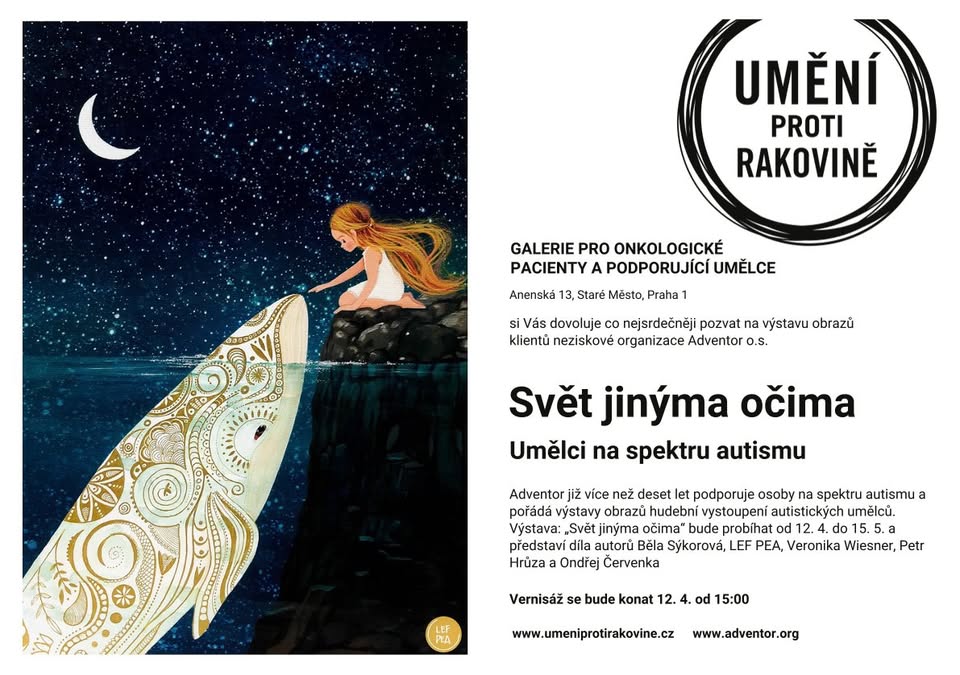 SVĚT JINÝMA OČIMA - Umělci na spektru autismu