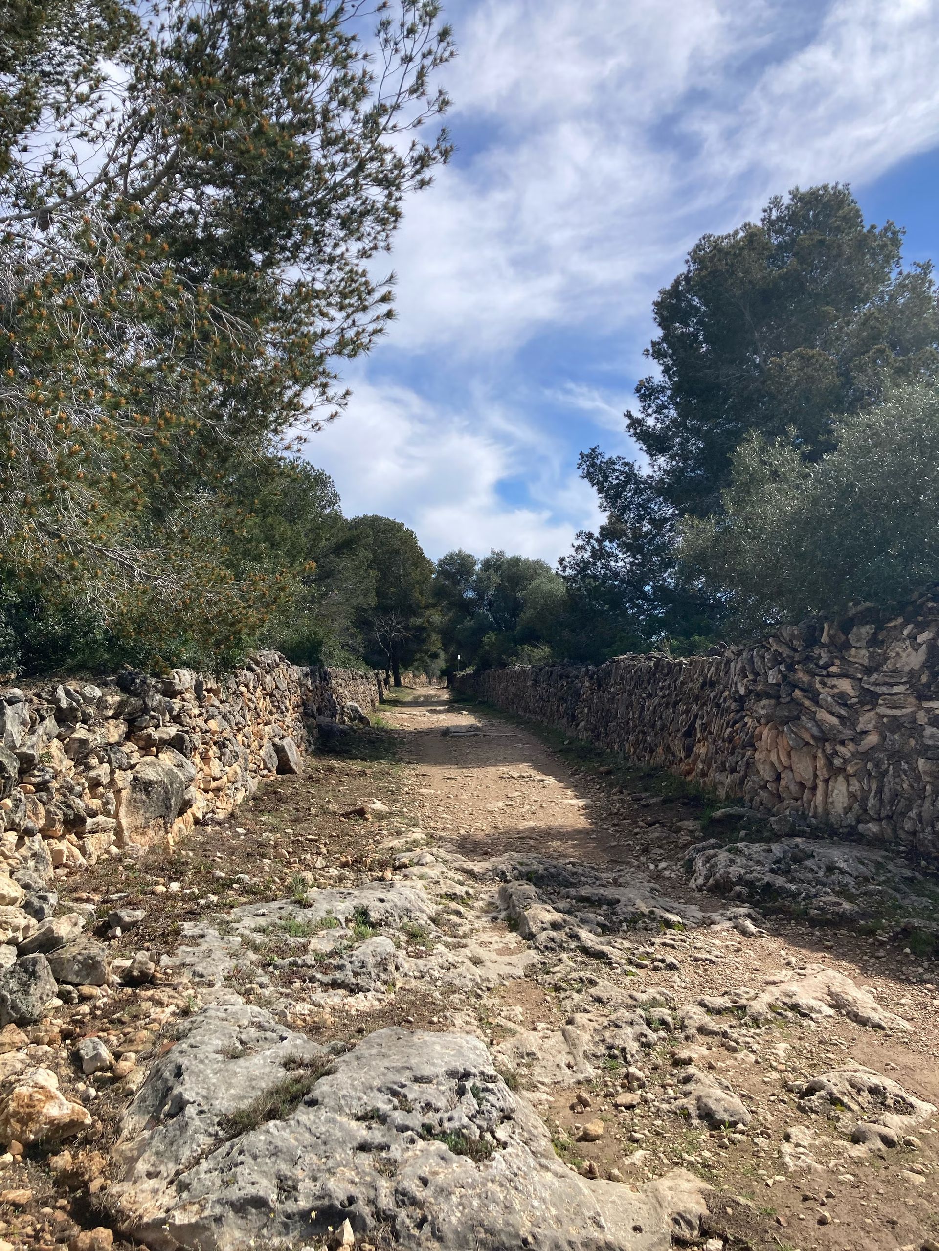 “Entre Mar y Montaña – La Vía Augusta y El Camí Vell de Calafell”  🏞️🏖️🩲👙