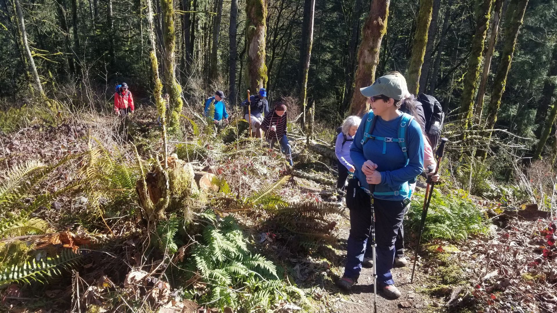 Forest Park Beginner Friendly Fridays All Trails Challenge: Hike #09