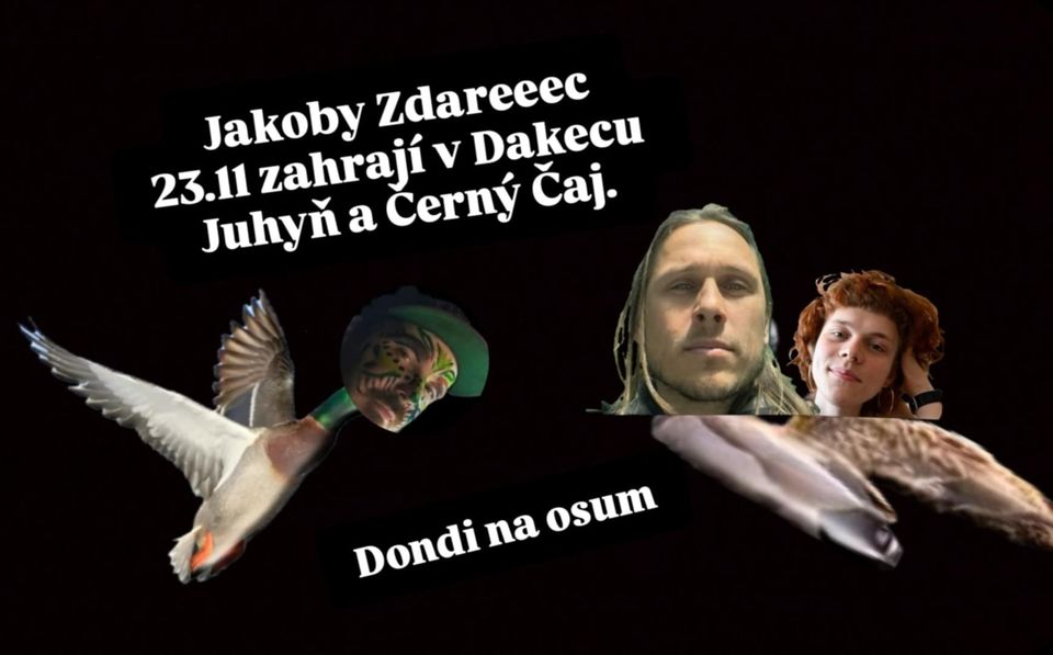 Černý čaj & Juhyň koncert Duck bar