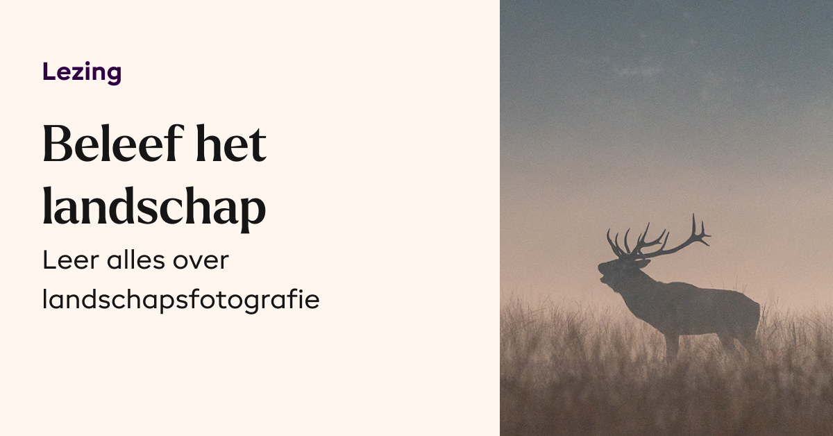 Ervaar het Landschap - Sander Grefte & Dave Zuuring
