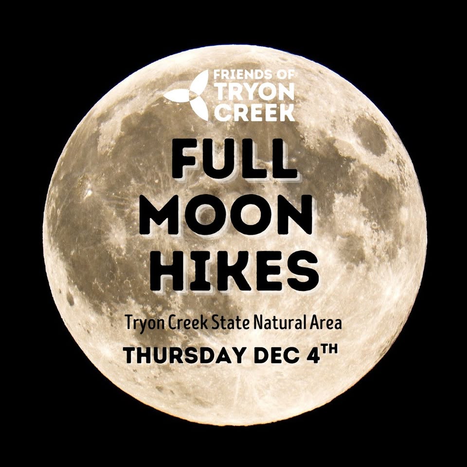 December Full Moon Hike