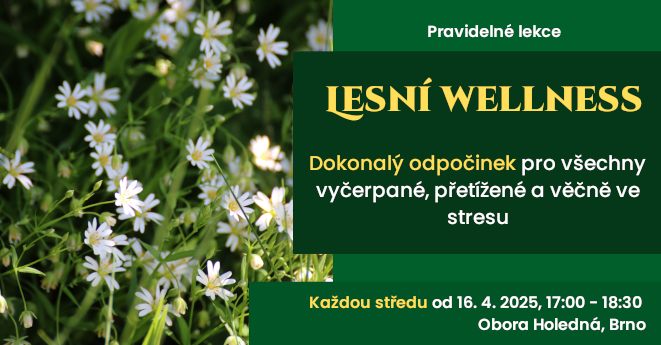 Lesní wellness
