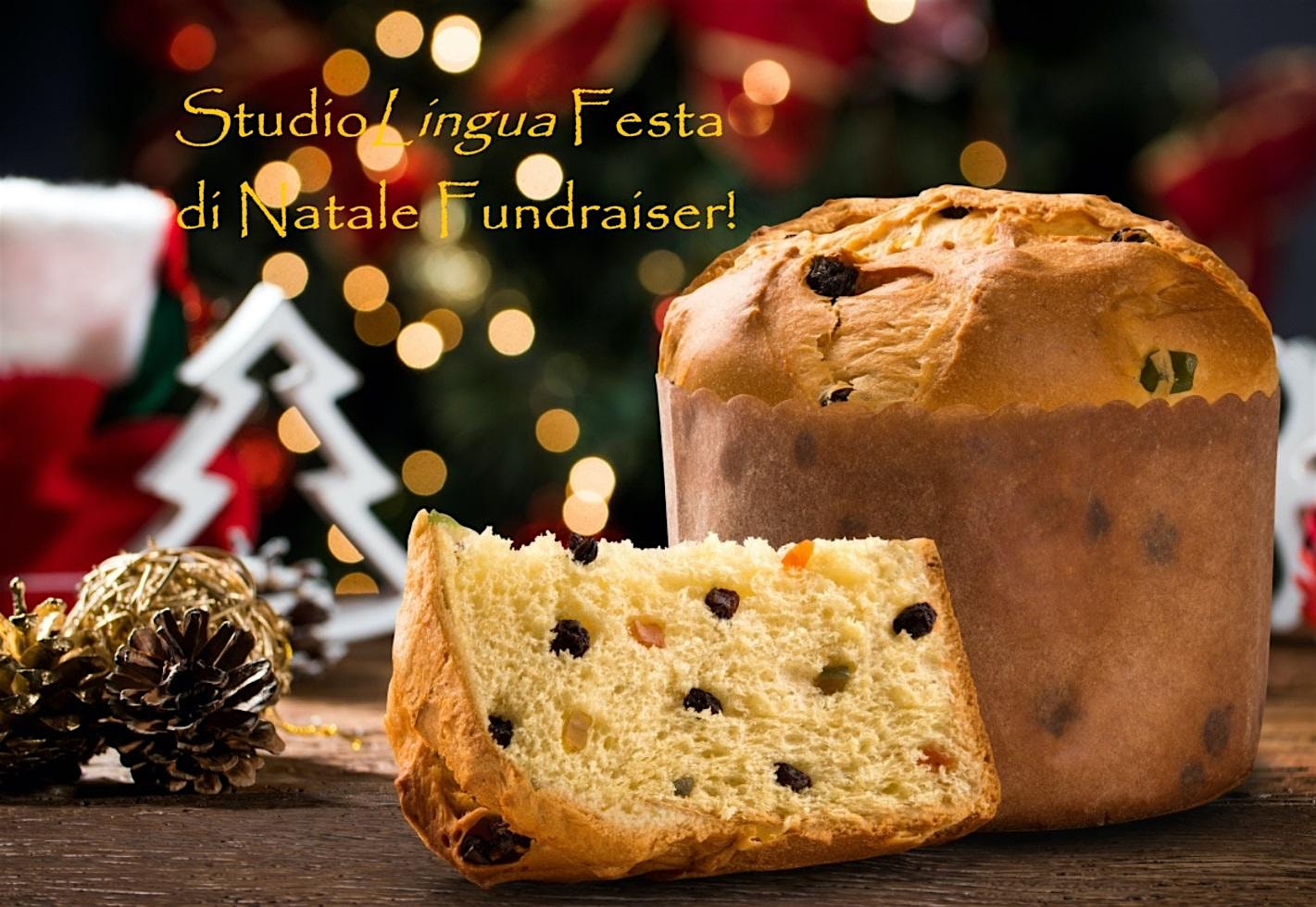 StudioLingua Winter Fundraiser