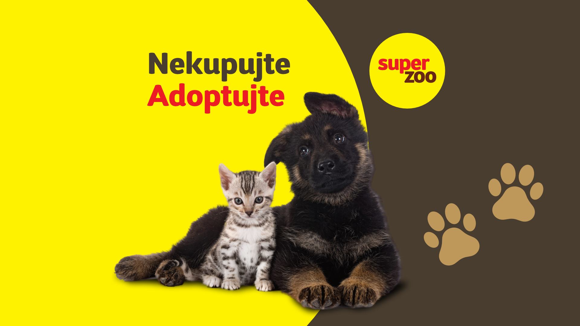 Adopčný deň v Super zoo Prešov Stop shop Sekčov
