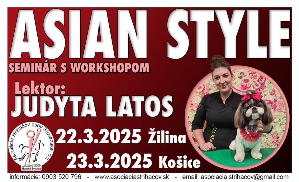 ASIAN STYLE SEMINÁR S WORKSHOPOM