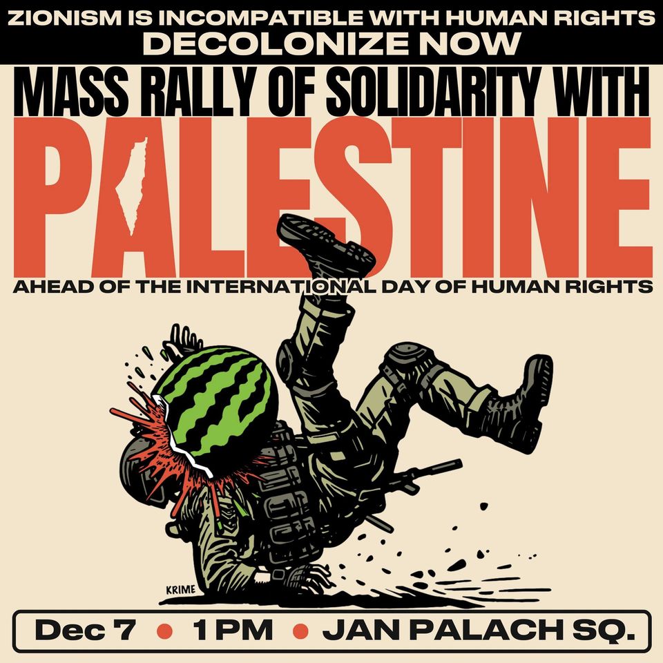 MASS RALLY OF SOLIDARITY WITH PALESTINE ahead of the International Day of Human Rights