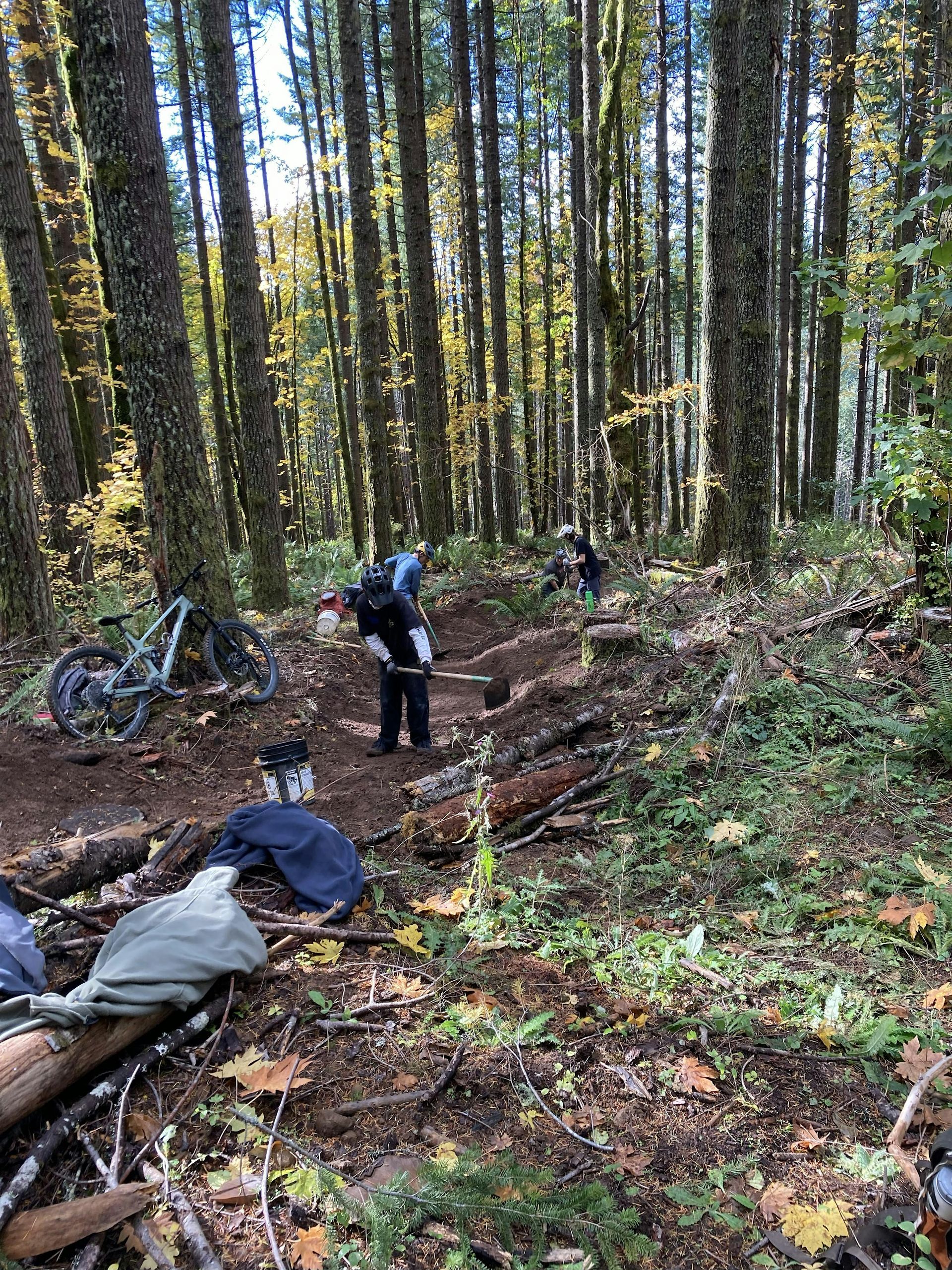 Stub Trail Restoration Day: 12/28