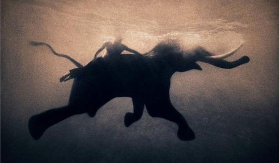 Continuum ponory