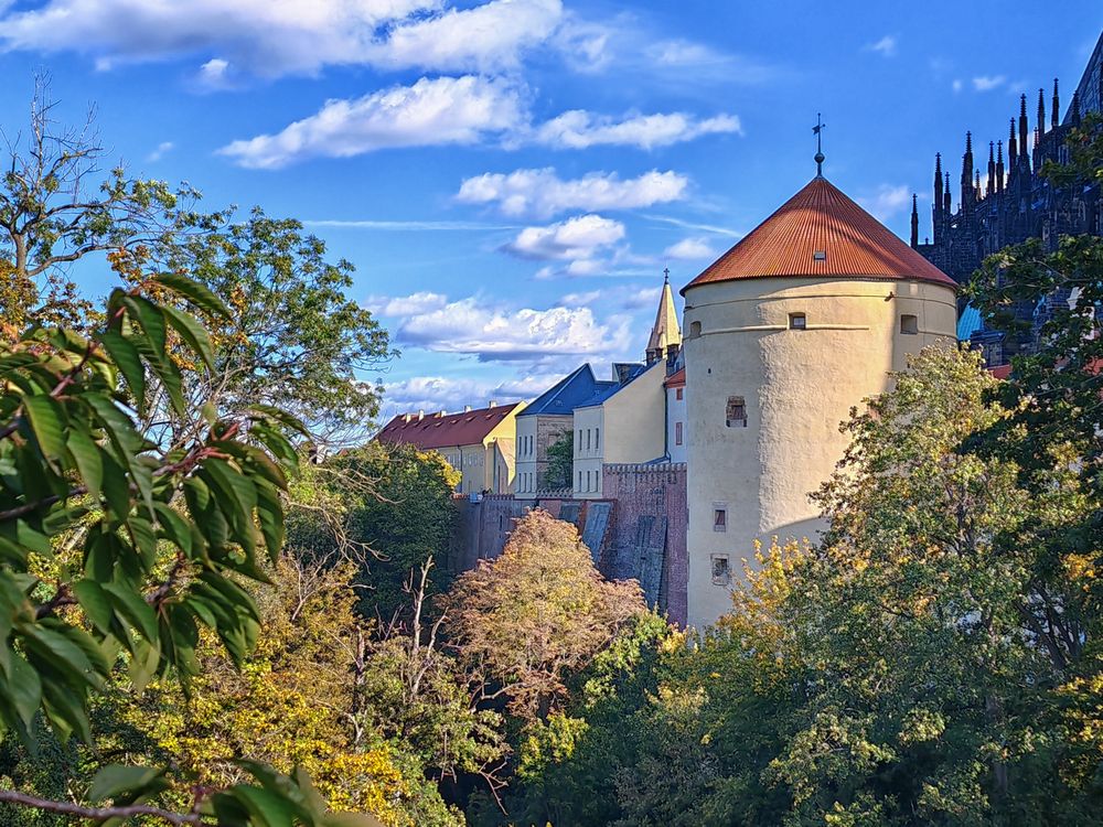 JELENÍ PŘÍKOP A KRÁLOVSKÁ ZAHRADA, komentovaná vycházka