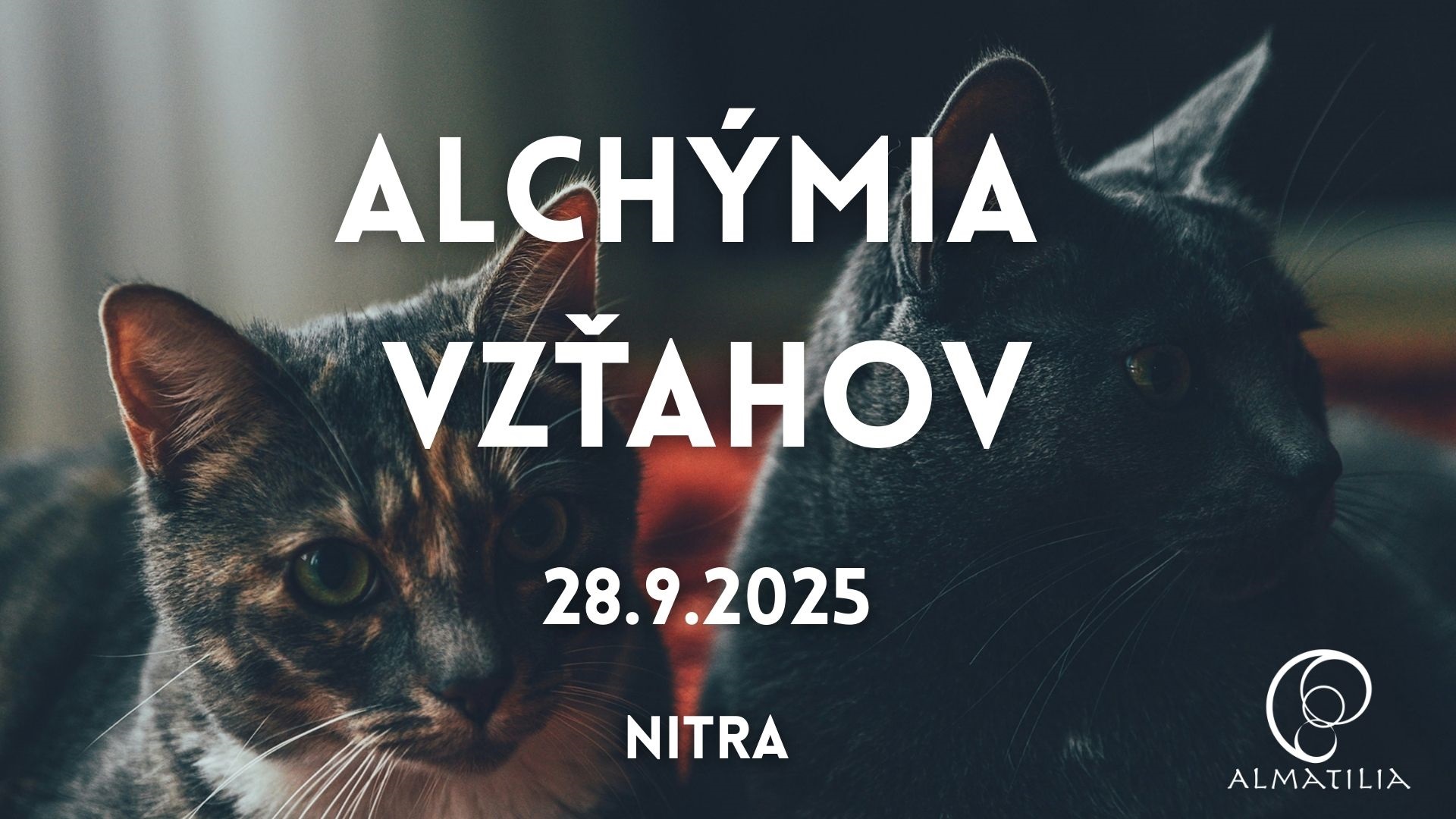 Alchýmia vzťahov