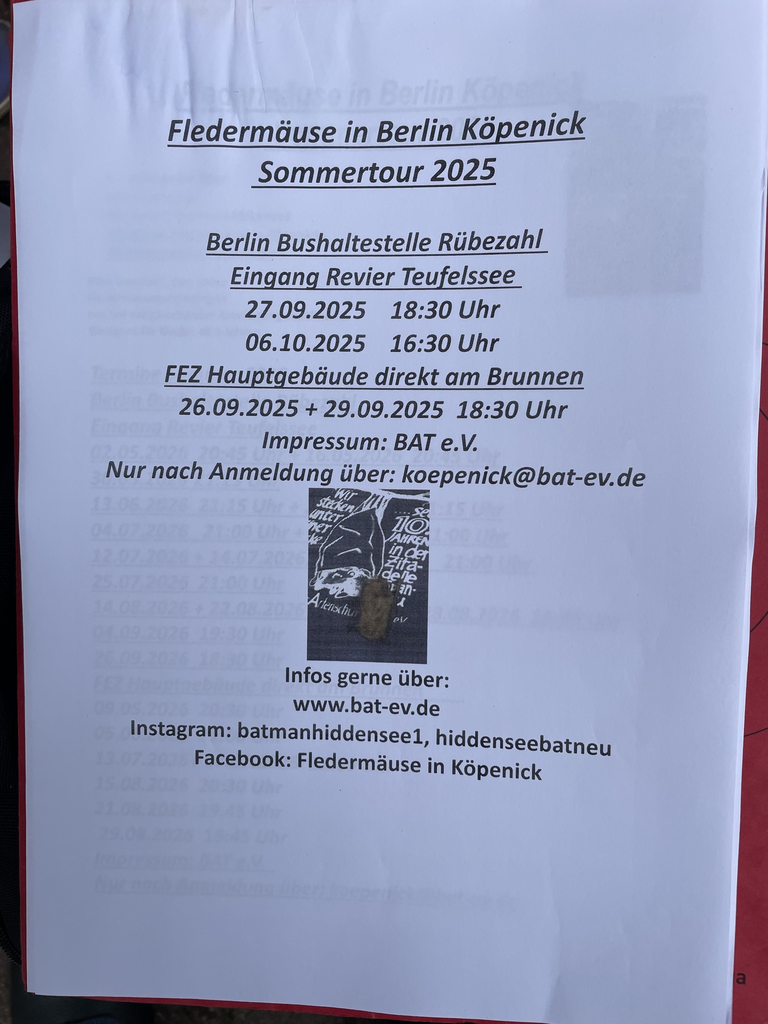 Finale Fledermaus Touren Rübezahl