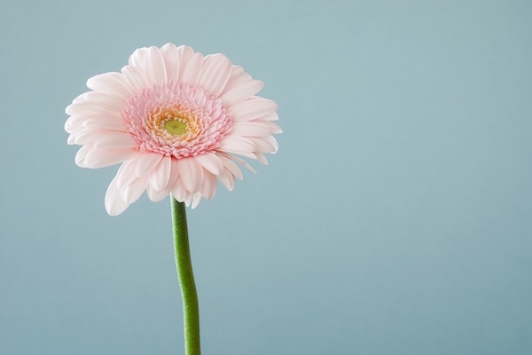 Healing sessies. Voor een positieve en herstellende invloed op mentale en lichamelijke klachten.