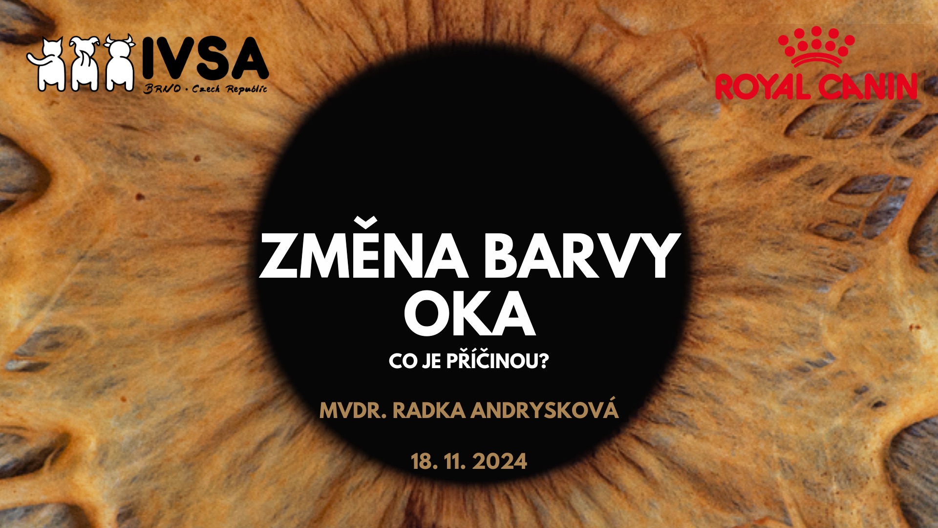 Seminář: Změna barvy oka