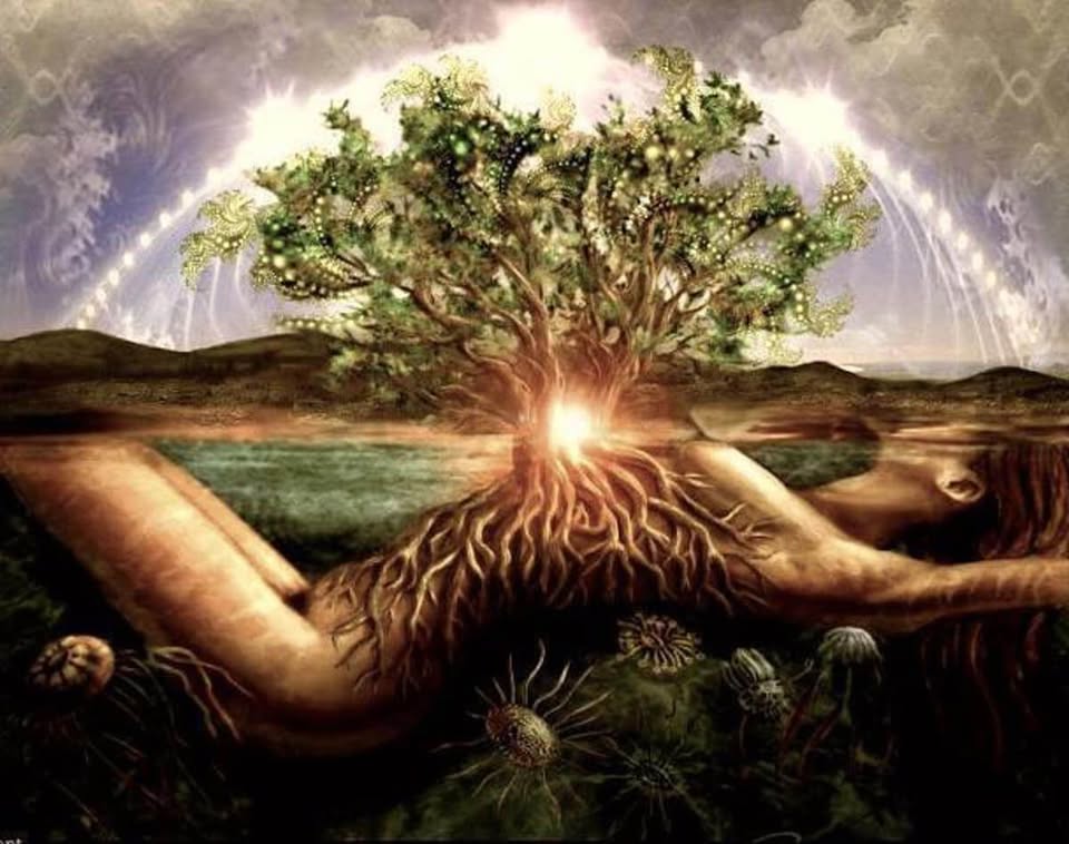 Ženský Čaro-kruh: rituální setkání k oslavě svátku Imbolc