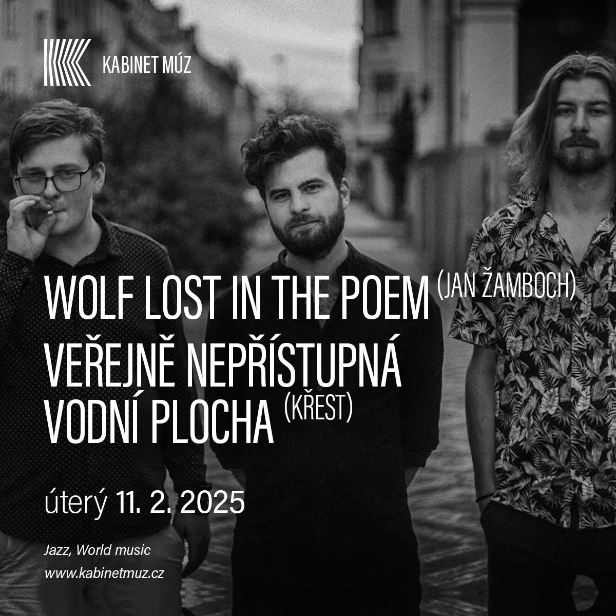 Wolf Lost In the Poem (JAN ŽAMBOCH) + Veřejně nepřístupná vodní plocha (KŘEST) | Kabinet MÚZ |